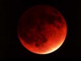 /album/galleria-fotografica/luna-rossa-eclisse-latina-8765765-jpg1/